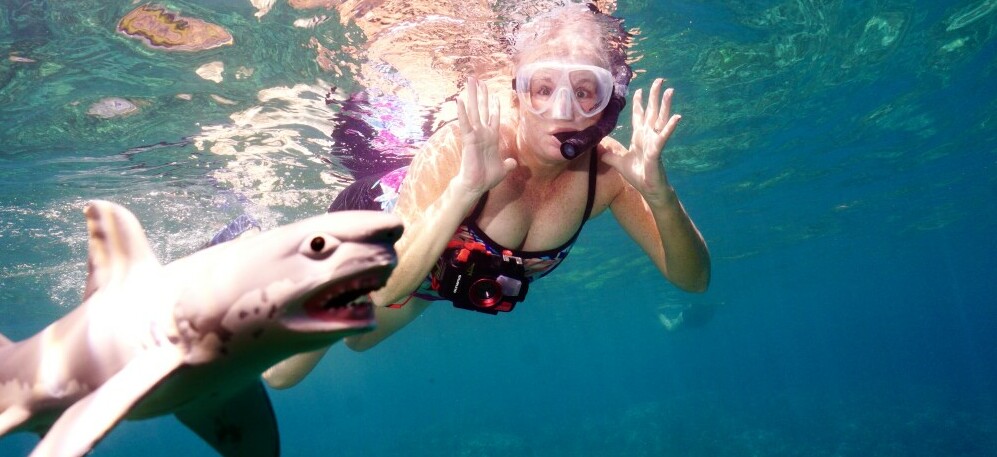 snorkeling with a fake shark